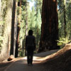 Mama in Yosemite